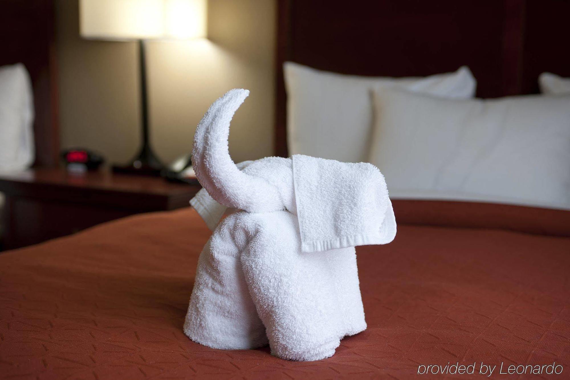 Seffner Inn And Suites 外观 照片